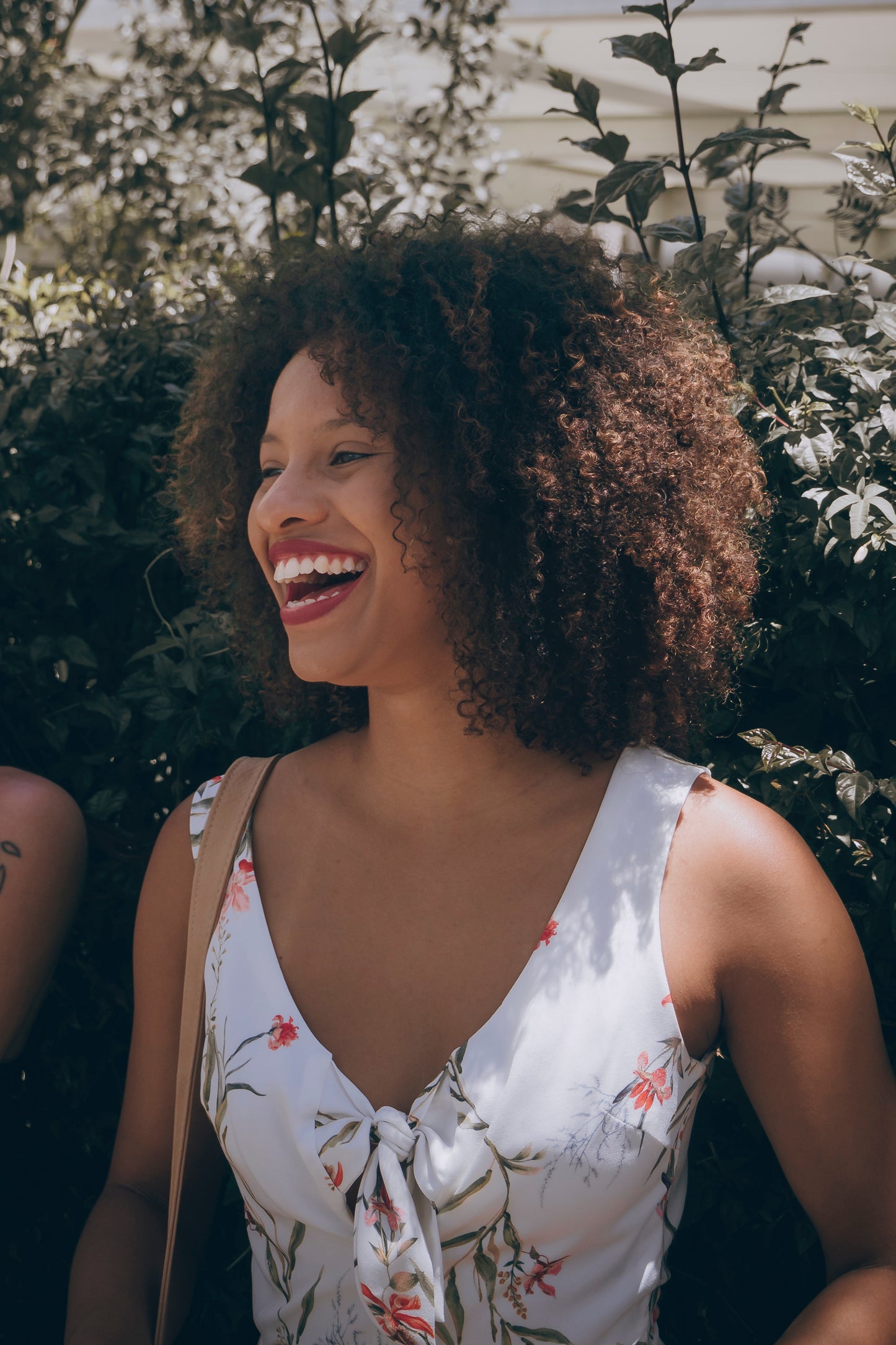 Ozonated Oils for Curly Hair: Which is The Best?